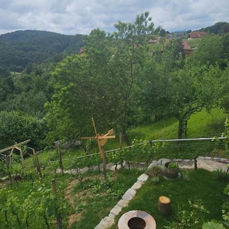 Zidanica Muhic Villa Dolenjske Toplice Exterior foto