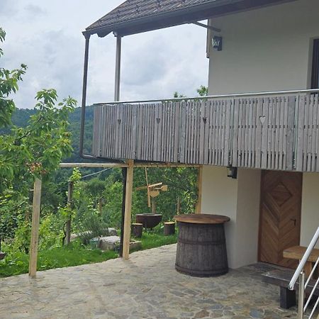 Zidanica Muhic Villa Dolenjske Toplice Exterior foto