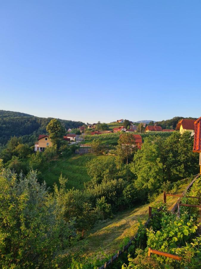 Zidanica Muhic Villa Dolenjske Toplice Exterior foto
